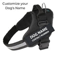 Personalized Dog Harness