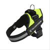 Personalized Dog Harness