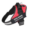 Personalized Dog Harness