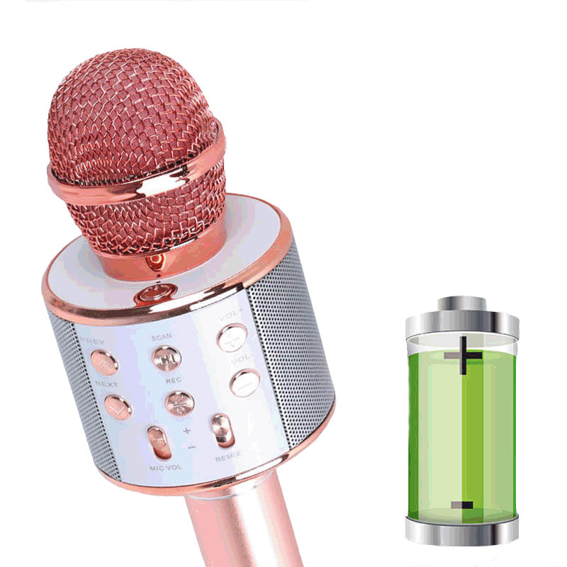 Wireless Karaoke Microphone